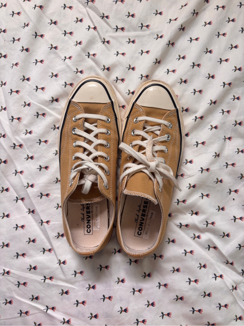 Converse Chuck Taylor Low Top Sneakers in Mustard